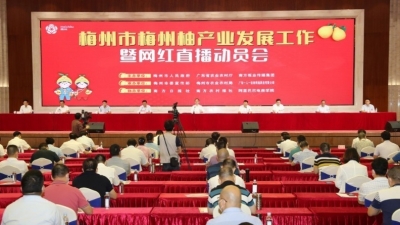 梅州市梅州柚产业发展工作暨网红直播动员会召开：网红带货大行动 柚果产业大发展