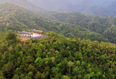 蕉岭若夫公园故事多！见证一个人与一座城跨越近400年的时空对话 