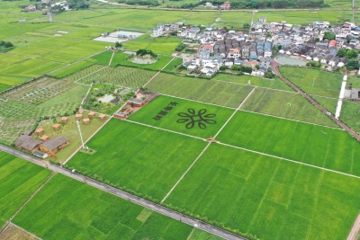 尖峰笔丨步履稳健 走好绿色发展路