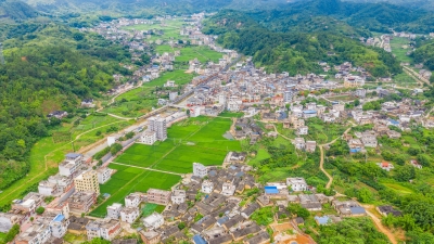 红色引领、绿色发展、产业帮扶！梅州日报社蹲点报道走进大埔县枫朗镇大埔角村