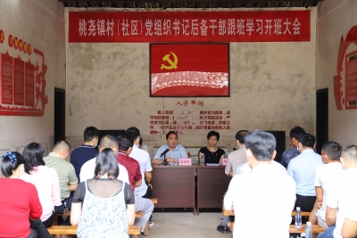 为乡村振兴提供人才保障！梅县区桃尧镇这样做……