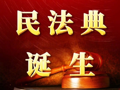 《中华人民共和国民法典》表决通过，2021年1月1日起施行
