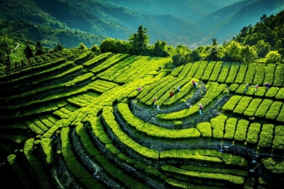 梅江周末·梅水