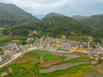 平远丨头雁领飞美乡村  共治共享气象新