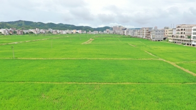 旱地变水田，水田变风景！五华梅林这片“沉睡”土地“醒”了...