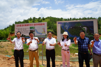 五华副县长赖俊香率队到龙村镇调研检查工作 