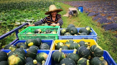 麻岭河岸话家常，全面奔康喜笑颜~乡村振兴之歌奏响齐昌大地