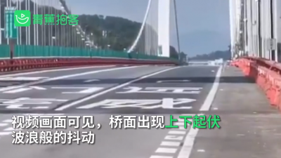 最新！专家组初步判断虎门大桥震动主因：设置水马改变气动外形