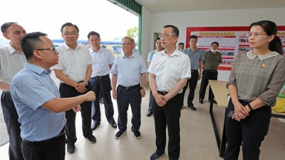陈敏到兴宁市调研脱贫攻坚工作：做大做强龙头企业 巩固脱贫攻坚成果