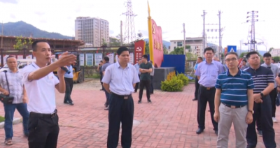 大埔召开“三清三拆三整治”回头看暨新农村项目建设现场会