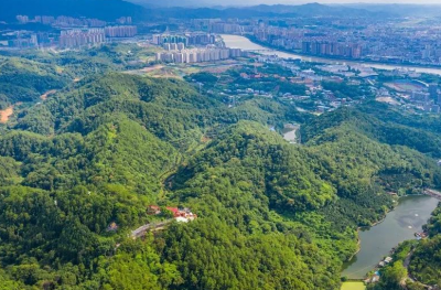 梅州巩固国家森林城市创建成果暨全市林业工作会议召开 张爱军：全力推动生态文明建设和林业工作走在全省前列