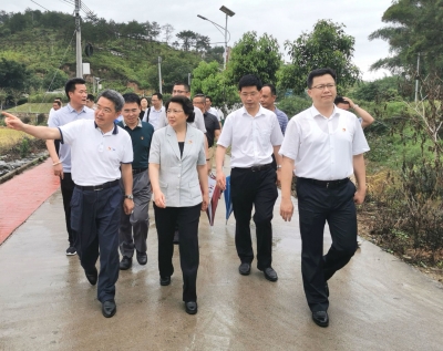 广州市委宣传部部长徐咏虹到五华坝心村调研脱贫攻坚工作
