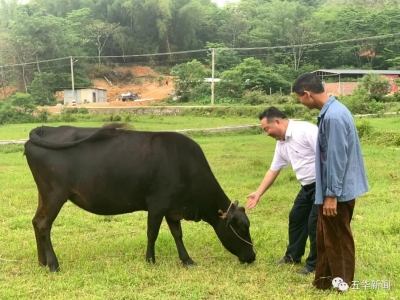 扮靓屋夸，村民任保洁员！五华高车塘村“颜值”up up up！