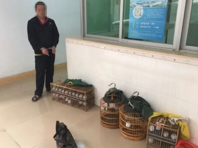 重拳打击涉野违法犯罪！五华刑拘2人救助野生动物66只