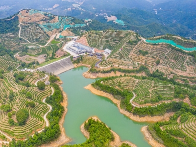 大埔丨物阜民丰展实干  千里沃野奏强音