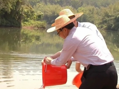  守护一湾碧水！4万尾“清道夫”放流平远水域
