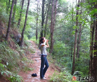 假日，来东升古道登高赏美景吧~