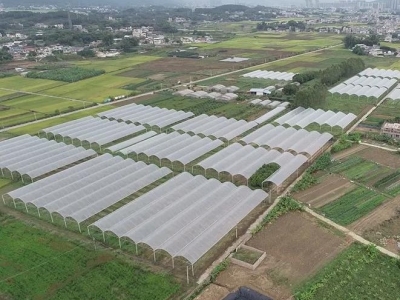 一行行的玉米杆子、挂满架子的黄瓜...这片有机“江山”都是他的！