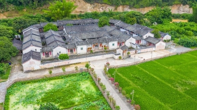 文旅融合怎么玩？来看看“大埔样本”！