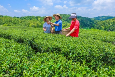 精准扶贫，下足帮扶工作“绣花功夫”！来看兴宁这些村的“脱贫硕果”~