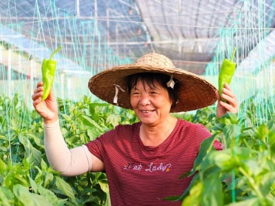 致富路在林下铺就，小康歌在泥土香里唱响...诗画梅江交作业啦！