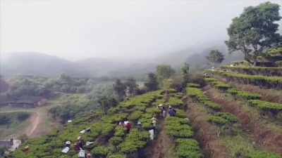 蕉岭：高举大健康产业旗 走好高质量发展路