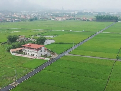 蕉岭：加快建设丝苗米现代农业产业园 让百姓吃上优质粮