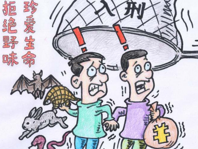 别再吃野味啦！蕉岭这哥们被提起刑事诉讼了…