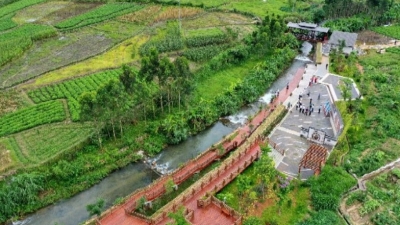 信步富美蕉岭，且看山水灵秀，古树村居，闲适康养人家……