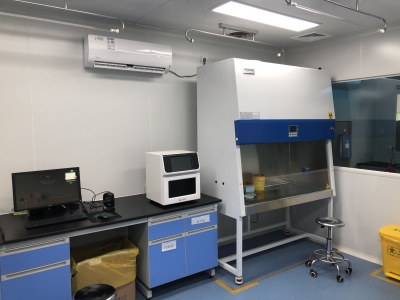 日核酸检测能力近300人次！蕉岭首个基因扩增实验室投入使用