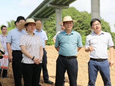 梅江区主要领导率队调研清凉山郊野公园建设工作