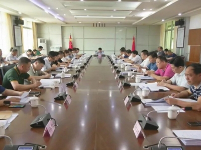 平远县委常委会召开会议：认真学习贯彻习近平总书记在全国两会上的重要讲话精神和全国两会精神