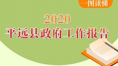 一图读懂！2020年平远县政府工作报告图解在这！
