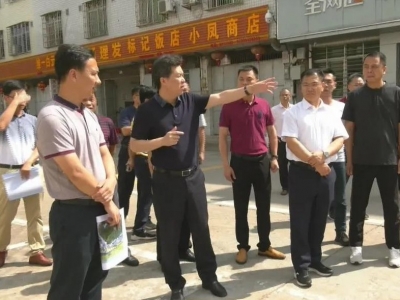 杨栋率队到河头镇、中行镇调研