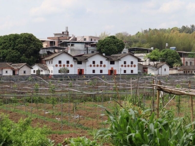 梅江区出台办法推进美丽乡村建后长效管理