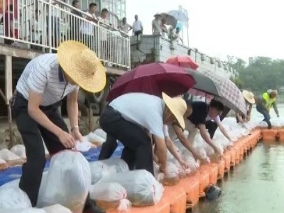 鲫鱼、鲤鱼…20万尾鱼苗“齐刷刷”投放兴宁合水水库