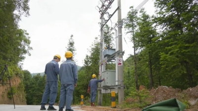 终于等到它！平远县中行镇近300户农户将用上“南网电”稳定电力
