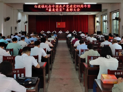 身边的榜样！梅县白渡举行“最美党员”表彰大会~