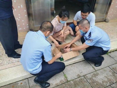 丰顺警民联手救助呆萌“猫头鹰”，竟是国家二级保护动物！