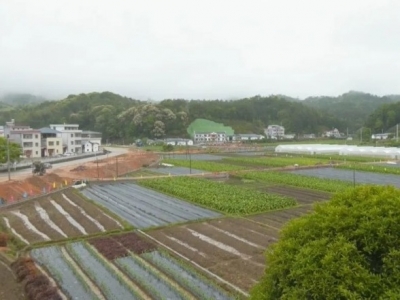 黄沙村变身“黄金村”！平远贫困村走上产业＋信息化的“富路子”~   