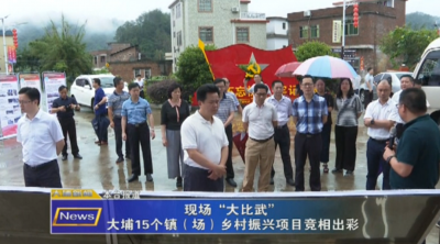 大埔召开2020年农村工作暨实施乡村振兴战略现场推进会