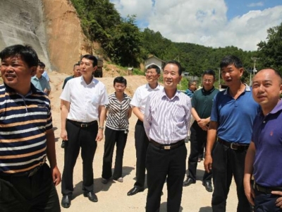 陈建青到大埔县青溪镇青华村调研时强调：巩固提升脱贫成果 努力建设美丽青华