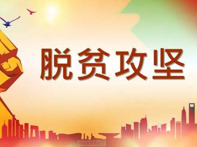 桃坪村又有好消息！孟博士的助农情怀让“扶贫之花”绽放 