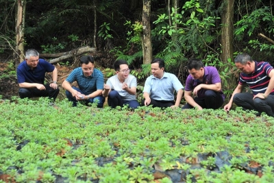 梅州日报社蹲点报道走进丰顺县汤西镇大罗村