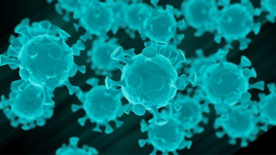 中国疾控中心：北京新冠肺炎聚集性疫情病毒分离培养成功