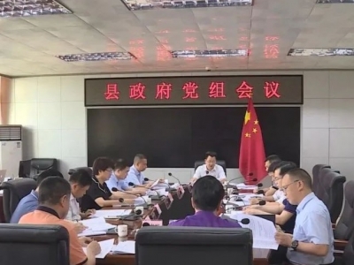 廖茂忠主持召开县政府党组会议 学习贯彻习近平总书记重要讲话精神