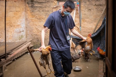 “偷鸡贼”胆大妄为！梅江警方用实际行动守护群众“钱袋子”