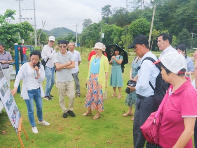 梅江周末·梅水