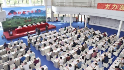 加快推进广东林业高质量发展！全省林业产业大会在梅州召开