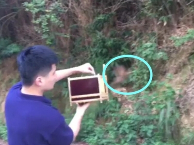 画眉虽美，岂能诱捕？两男子相约捕鸟却把自己送入“牢笼”